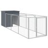 Dog House Anthracite Galvanized Steel 43.3 x 159.4 x 43.3 in